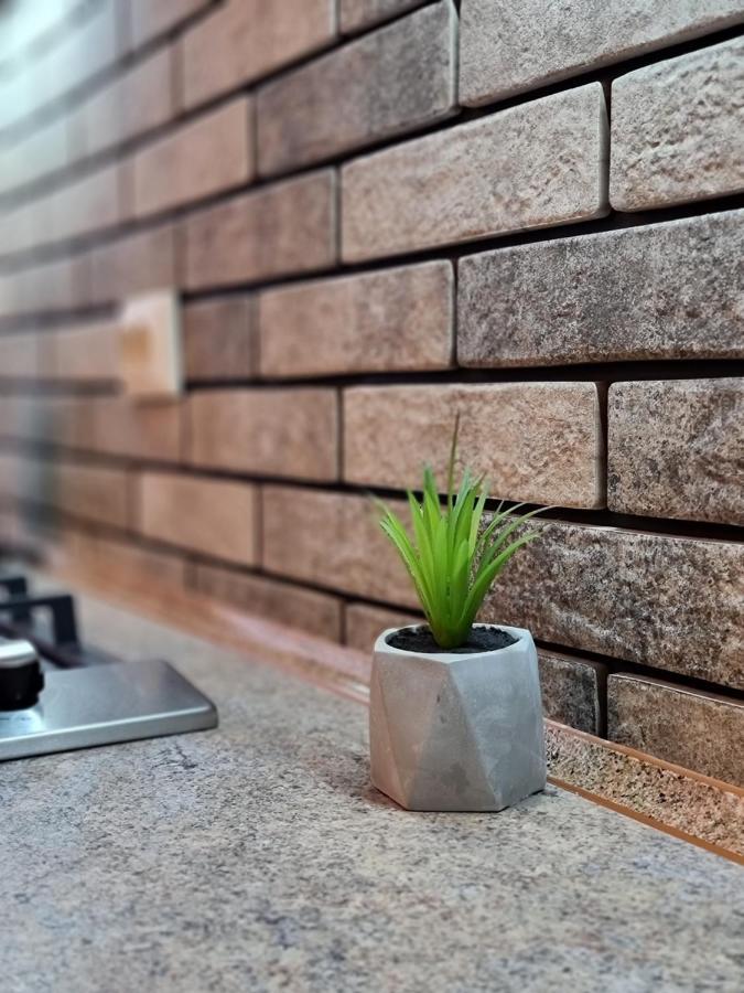 Petropavlivska Apartment Тиха Вуличка В Центрі Старого Міста Kamjanets-Podilsky Buitenkant foto
